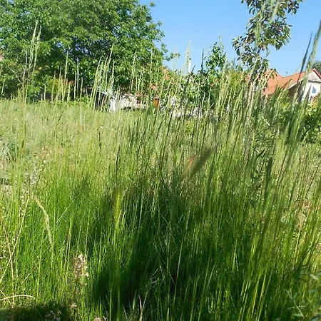 Dunaparti Haz Kravany nad Dunajom